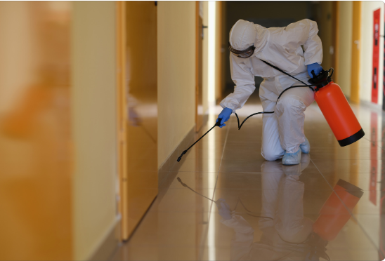 Fumigation Services in Nairobi