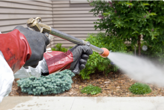Fumigation Services in Nairobi