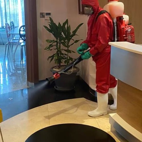 Pest control Services in Nairobi