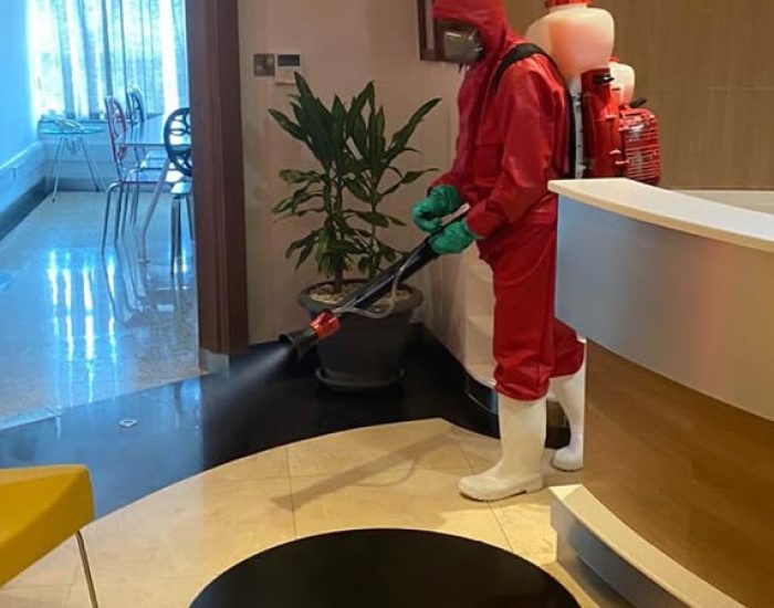 Pest control Services in Nairobi
