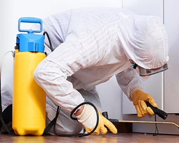 Pest control Services in Nairobi